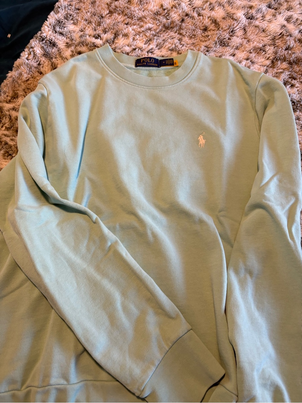 Ralph Lauren Men’s Light Mint Green Crewneck Sweatshirt